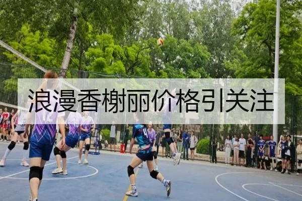 浪漫香榭丽价格引关注