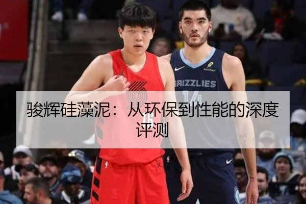 骏辉硅藻泥：从环保到性能的深度评测