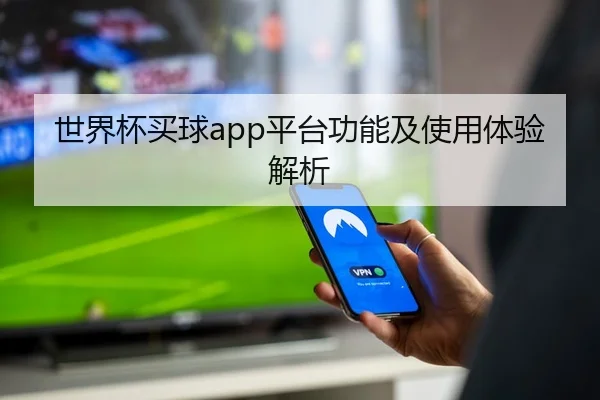 世界杯买球app平台功能及使用体验解析