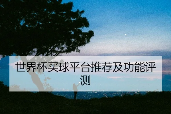 世界杯买球平台推荐及功能评测
