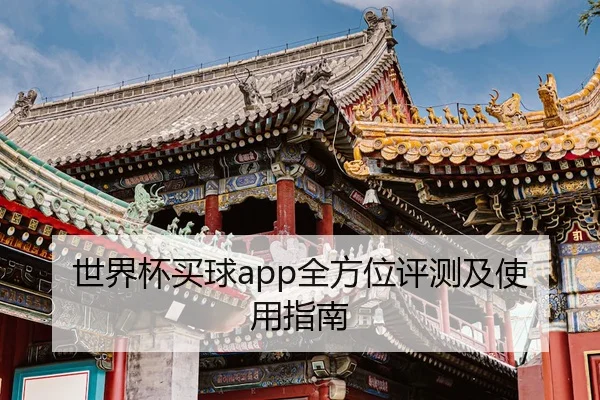世界杯买球app全方位评测及使用指南