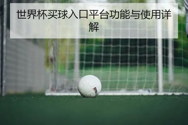 世界杯买球入口平台功能与使用详解