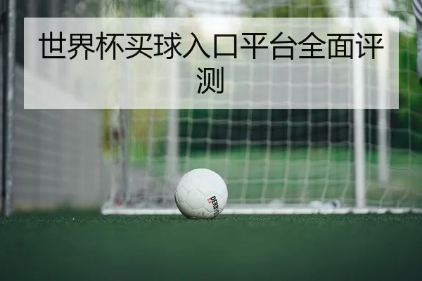 世界杯买球入口平台全面评测