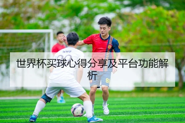 世界杯买球心得分享及平台功能解析