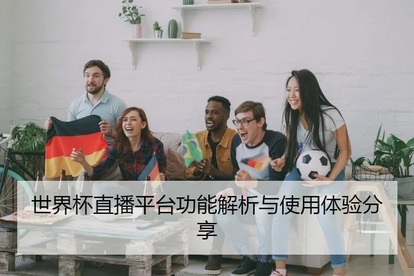 世界杯直播平台功能解析与使用体验分享