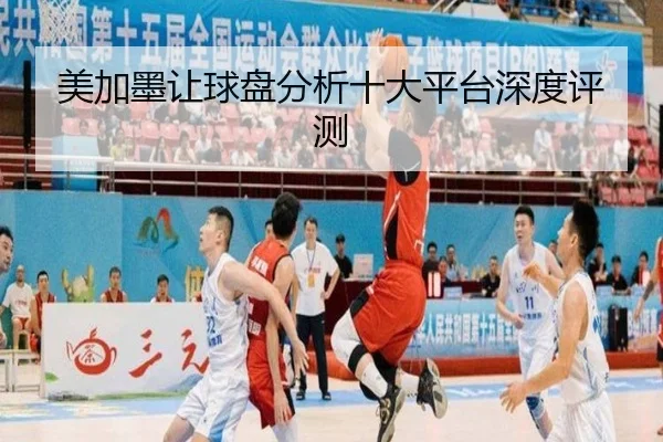 美加墨让球盘分析十大平台深度评测